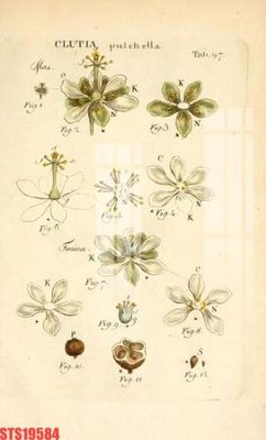 Tải file gốc Tranh sơn dầu phương tây tổng hợp STS19584 (in khổ lớn) không vỡ