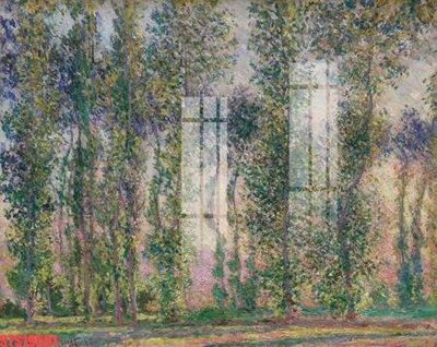 File tranh Tranh sơn dầu phương tây tổng hợp STS19591 (gốc) in film