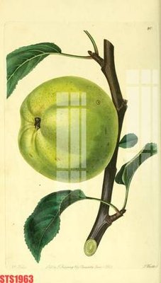 Chi tiết file gốc Tranh sơn dầu phương tây tổng hợp STS1963 (cho in tráng gương)