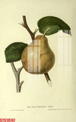 File gốc Tranh sơn dầu phương tây tổng hợp STS19747 (vector) cho in ấn