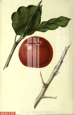 Hình ảnh file gốc in lụa Tranh sơn dầu phương tây tổng hợp STS19928