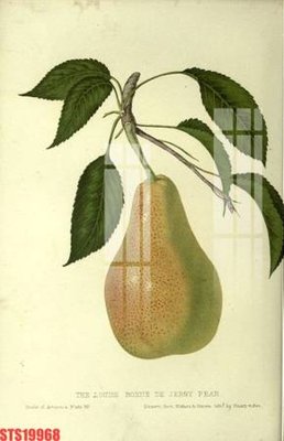 Tải file Tranh sơn dầu phương tây tổng hợp STS19968 (gốc) làm file thiết kế