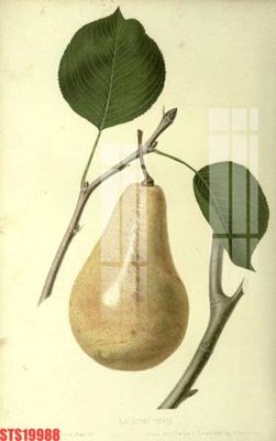 Tệp tin gốc Tranh sơn dầu phương tây tổng hợp STS19988 (dùng cho in) Tranh sơn dầu phương tây tổng hợp STS19988