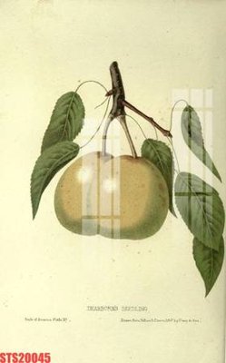 Hình ảnh file gốc Tranh sơn dầu phương tây tổng hợp STS20045 (chất lượng cao)