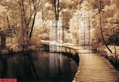 Tải file gốc Tranh sơn dầu phương tây tổng hợp STS20056 (bản PSD) chỉnh sửa được