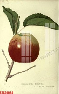 File tranh Tranh sơn dầu phương tây tổng hợp STS20064 (bản gốc) treo quán cafe