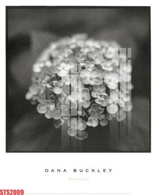 File PSD Tranh sơn dầu phương tây tổng hợp STS2009 (gốc) nhiều lớp (multi-layer)