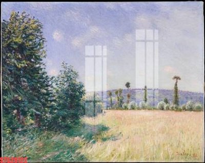 Tải về hình ảnh gốc Tranh sơn dầu phương tây tổng hợp STS20122 sắc nét