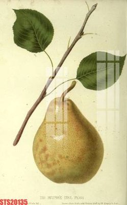 File gốc in ấn Tranh sơn dầu phương tây tổng hợp STS20135 độ phân giải cao