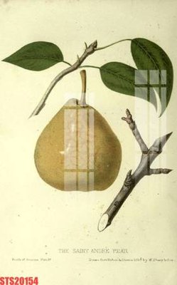 Tải file gốc Tranh sơn dầu phương tây tổng hợp STS20154 (in khổ lớn) không mờ