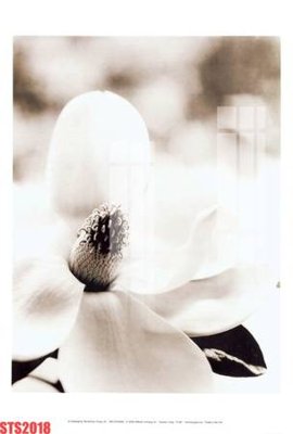 File gốc Tranh sơn dầu phương tây tổng hợp STS2018 (dành cho trang trí nội thất)