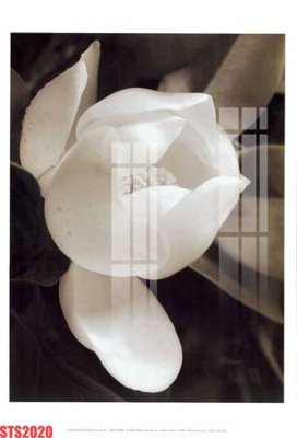 Tải file gốc Tranh sơn dầu phương tây tổng hợp STS2020 (để in lụa)