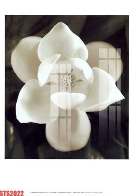 File in ấn Tranh sơn dầu phương tây tổng hợp STS2022 (bản gốc) cao cấp