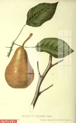 File tranh Tranh sơn dầu phương tây tổng hợp STS20230 (bản gốc) trang trí văn phòng