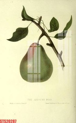 Tải file Tranh sơn dầu phương tây tổng hợp STS20287 (gốc) làm file thiết kế