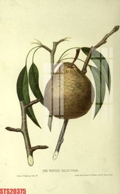 File ảnh gốc Tranh sơn dầu phương tây tổng hợp STS20375 không vỡ nét