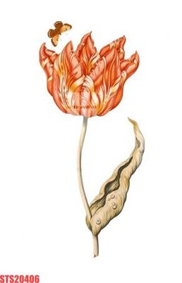 File PSD Tranh sơn dầu phương tây tổng hợp STS20406 (nguyên bản) cho thiết kế