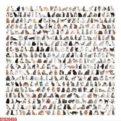 Tải file Tranh sơn dầu phương tây tổng hợp STS20455 (ảnh gốc) in gạch 3D