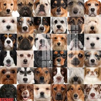 File in ấn Tranh sơn dầu phương tây tổng hợp STS20457 (bản gốc) chất lượng cao