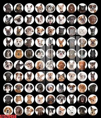 Tải file gốc Tranh sơn dầu phương tây tổng hợp STS20458 (in tráng gương) 5DFile gốc Tranh sơn dầu phương tây tổng hợp STS20458 (in ấn) phiên bản premium