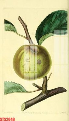 File tranh gốc Tranh sơn dầu phương tây tổng hợp STS2048 (bản quyền) file PSD