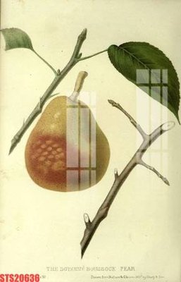 Tải file gốc Tranh sơn dầu phương tây tổng hợp STS20636 (in tráng gương) cao cấpFile gốc Tranh sơn dầu phương tây tổng hợp STS20636 (in ấn) phiên bản độc quyền