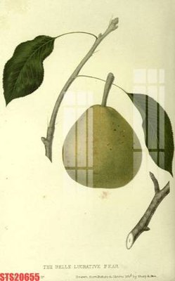 File tranh Tranh sơn dầu phương tây tổng hợp STS20655 (gốc) chủ đề thiên nhiên