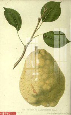 File gốc Tranh sơn dầu phương tây tổng hợp STS20890 (trang trí) phòng làm việc