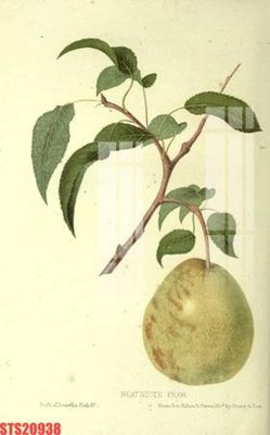 Download file Tranh sơn dầu phương tây tổng hợp STS20938 (gốc) cho xưởng in