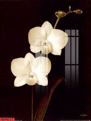 File gốc Tranh sơn dầu phương tây tổng hợp STS2094 (in lụa) hoa văn cổ điển