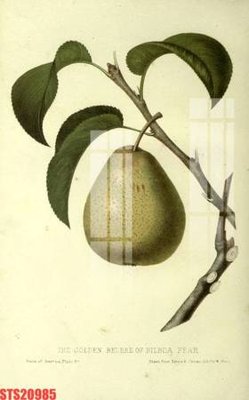 Download file Tranh sơn dầu phương tây tổng hợp STS20985 (gốc) in mica ốp bếp