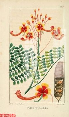 Download file gốc Tranh sơn dầu phương tây tổng hợp STS21045 (in mica) logo