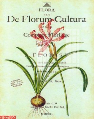 Tải file Tranh sơn dầu phương tây tổng hợp STS21053 (ảnh gốc) in tranh kính