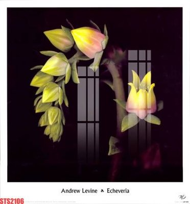 File gốc Tranh sơn dầu phương tây tổng hợp STS2106 (trang trí) cho phòng khách