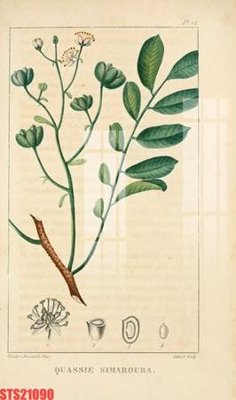 Mua file gốc Tranh sơn dầu phương tây tổng hợp STS21090 (PSD) tại Filetranh.com