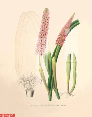 Tải file gốc Tranh sơn dầu phương tây tổng hợp STS21158 (bản PSD) gốc