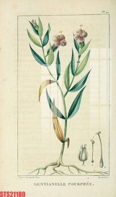 Ảnh gốc Tranh sơn dầu phương tây tổng hợp STS21180 (độ nét cao) in tráng gương