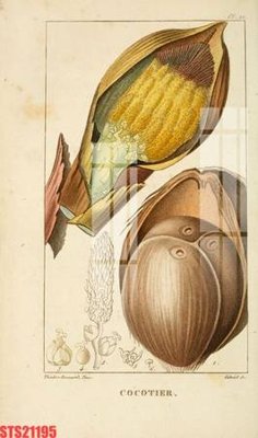 Tải file Tranh sơn dầu phương tây tổng hợp STS21195 (gốc) làm tranh treo tường