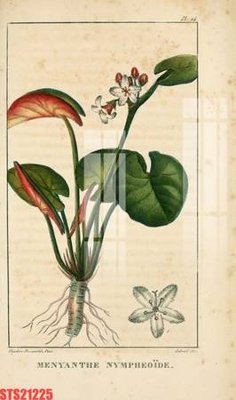 Tệp tin gốc Tranh sơn dầu phương tây tổng hợp STS21225 (chất lượng cao) Tranh sơn dầu phương tây tổng hợp STS21225