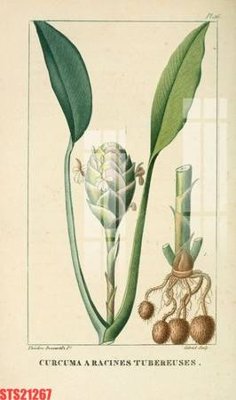 File PSD Tranh sơn dầu phương tây tổng hợp STS21267 (bản gốc) chất lượng nhất