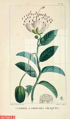 Download file gốc Tranh sơn dầu phương tây tổng hợp STS21281 (in lụa) cao cấp