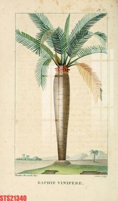 File tranh Tranh sơn dầu phương tây tổng hợp STS21340 (ảnh gốc) sắc nét hoàn hảo