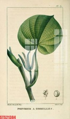 Tải file Tranh sơn dầu phương tây tổng hợp STS21384 (gốc) in tranh tráng gương