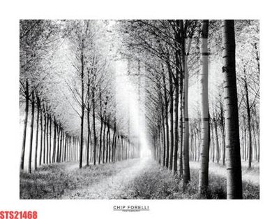 Tải file tranh Tranh sơn dầu phương tây tổng hợp STS21468 (gốc) tại Filetranh.com