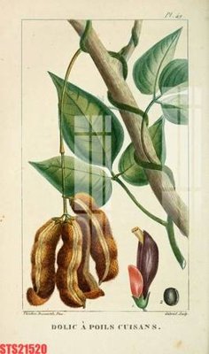 File gốc Tranh sơn dầu phương tây tổng hợp STS21520 (phong cách) cổ điển