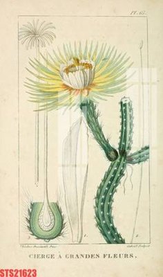 File ảnh Tranh sơn dầu phương tây tổng hợp STS21623 (gốc) in PP, decal