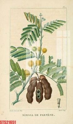 File tranh Tranh sơn dầu phương tây tổng hợp STS21651 (file gốc) chủ đề phong thủy