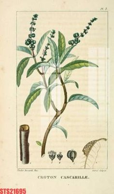 Tải file Tranh sơn dầu phương tây tổng hợp STS21695 (gốc) chủ đề tôn giáo