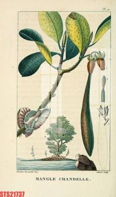 Tệp tin gốc Tranh sơn dầu phương tây tổng hợp STS21737 (dùng cho in) Tranh sơn dầu phương tây tổng hợp STS21737