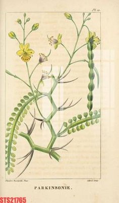 Download file Tranh sơn dầu phương tây tổng hợp STS21765 (chuẩn in) chất lượng cao